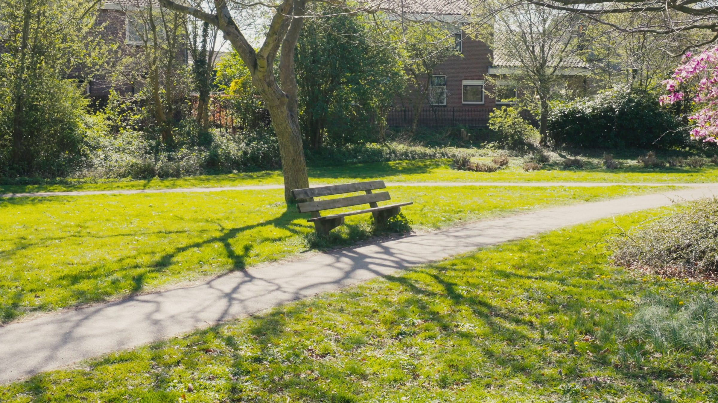 Zwervend, beeld 5